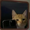 alexlewc