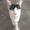 1mrpukimaa
