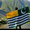 kashmiribrand.704