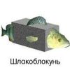 oioi_8912