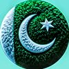 humaidak39