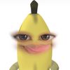 im44729