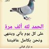 roka14679