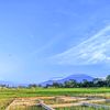 _fujilestari