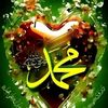 zanjabilsultan8