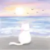 aein_aeravio