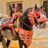 moustapha.ciss323