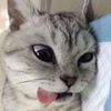 iniepiu