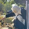 mnina2003311