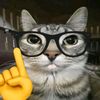 cxllm.azmi