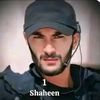 shaheenshaheen3171