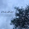 malak.ali435