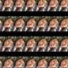 lorinjazzy