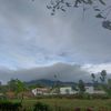 alikalik123453