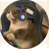 da_stocke14