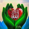 user95977245152761