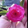 shorifshorif7391