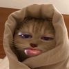 user7668196133767