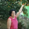 denise.soares13