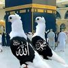 user91297120681428