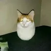 tiktoquetoquetik2