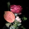 sehar44248