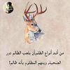 ryn.msbh