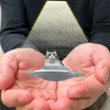 sigmadalnobol