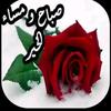 yimer.mohammed5