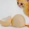 omarsfncpud