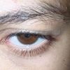 yssf.____tlb10