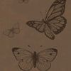 noramohamed1782