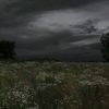adri_128474