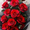 ninel7098
