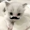 qvngth