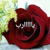 user22105728150838
