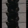 gatinhofofinho96