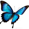 antyyu17946