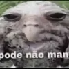 podenaoman12367