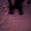 qiiiiiiiiii2_
