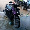 sccpinnz