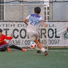 belecario_27y