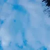 kanama.anita