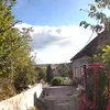 alsandi1956