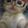 marahh_xlikk
