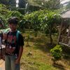 pan_n010