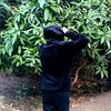 .azoz082