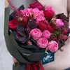 shilan.jamel