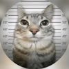tuchya_kloud