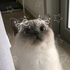 gag_playerig10